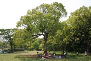 公園